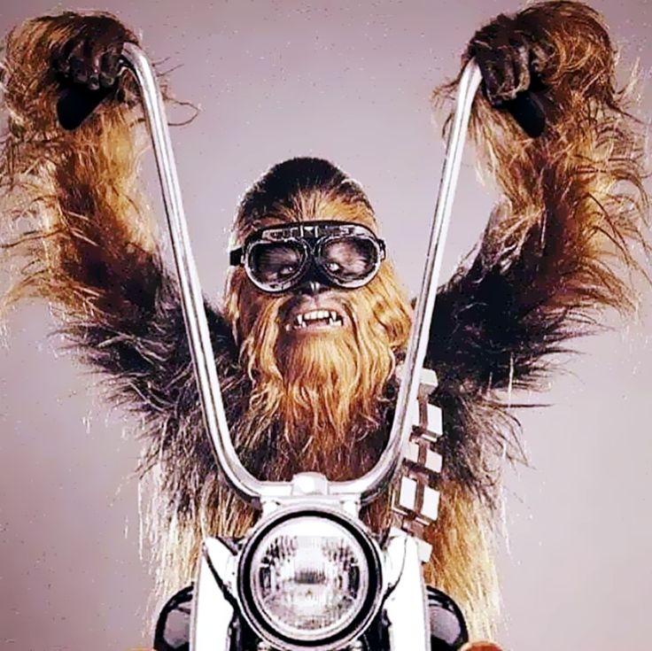 chewy-chopper